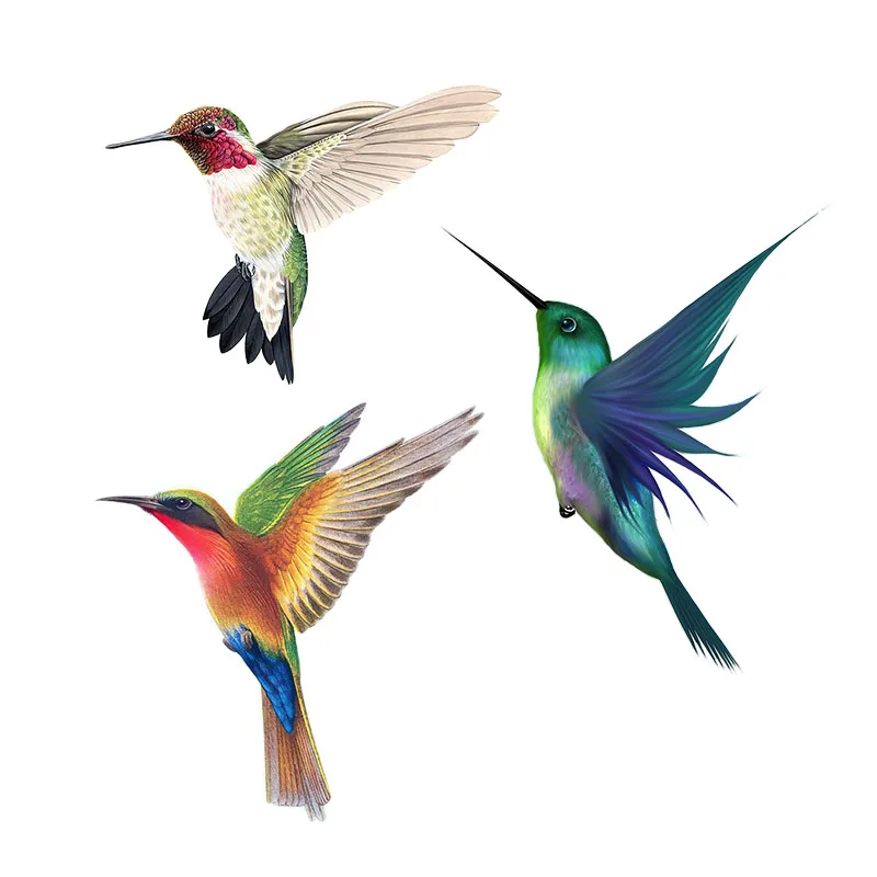 Outdoor Furniture Near Me - Hermosa pegatina de colibrí pintada a