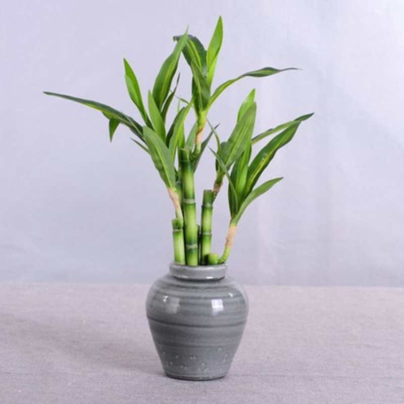 Nueva Planta Artificial de Bam - Outdoor Furniture Green reseña y precio